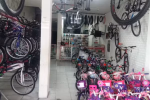 Torvic Max